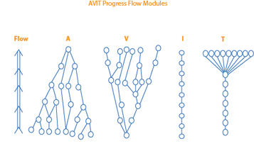 AVIT Progress Flow